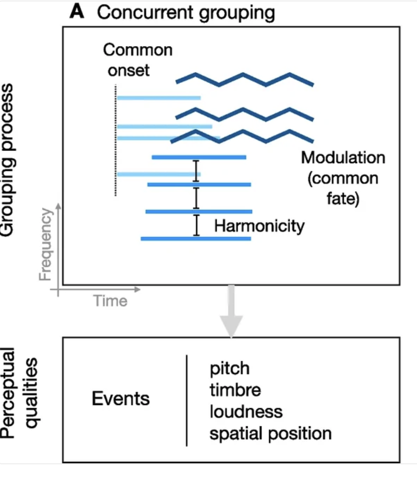 Diagram of concurrent grouping in auditory scene analysis: a grouping-process panel showing common onset, harmonicity and modulation (common fate) plotted over time and frequency, with an arrow down to a perceptual-qualities panel listing events as pitch, timbre, loudness and spatial position.