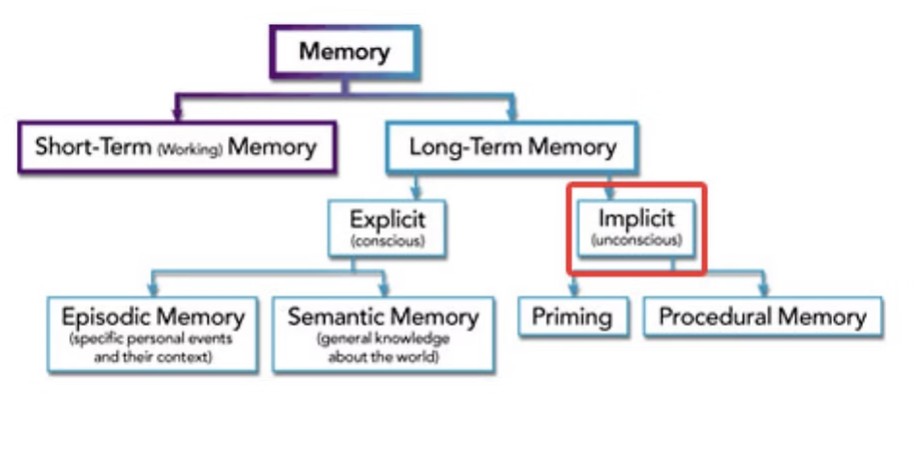 A chart dividing memory into short-term (working) memory and long-term memory. Long-term memory splits into explicit (conscious) memory, made up of episodic and semantic memory, and implicit (unconscious) memory, made up of priming and procedural memory.